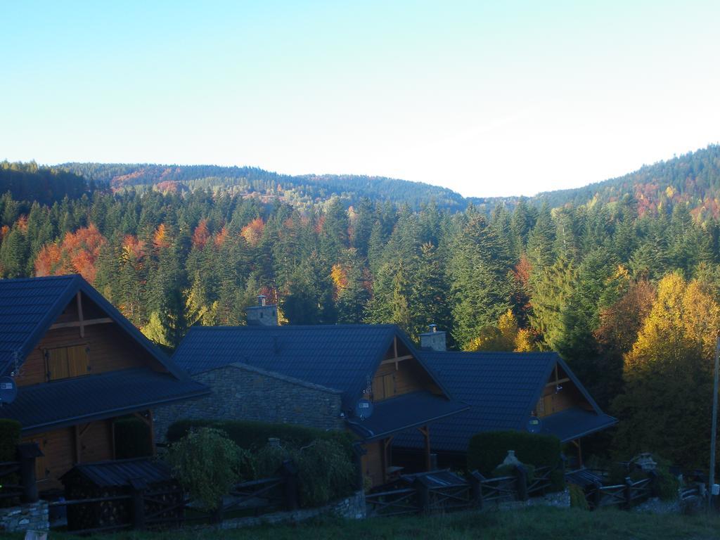 Osrodek Wypoczynkowy Ognisko Hotel Krynica Zdroj Exterior photo